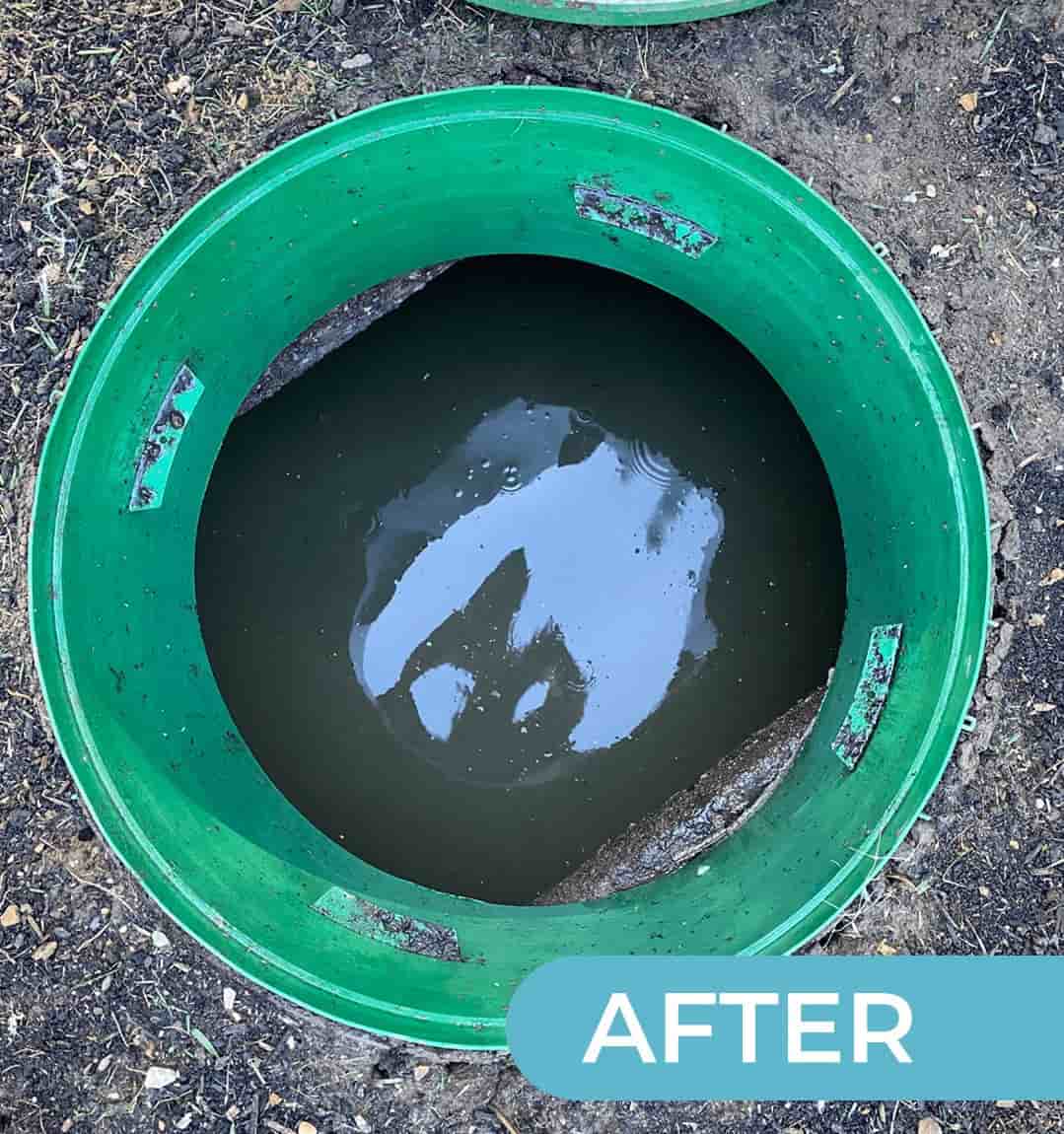 AFTER GREEN BUCKET